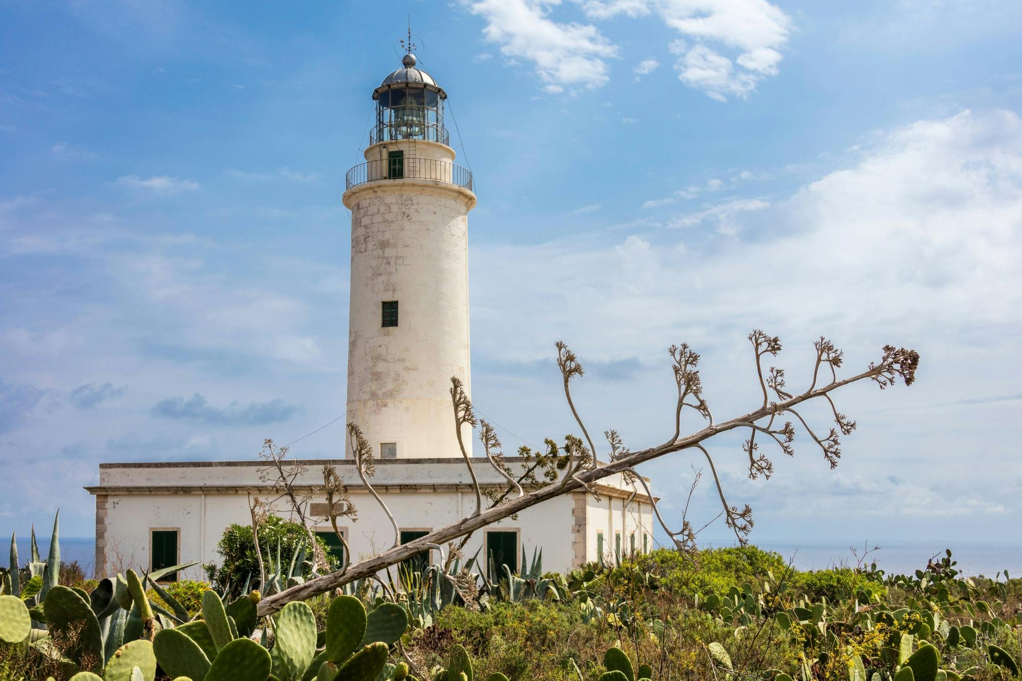 Full-day private guided tour of Formentera