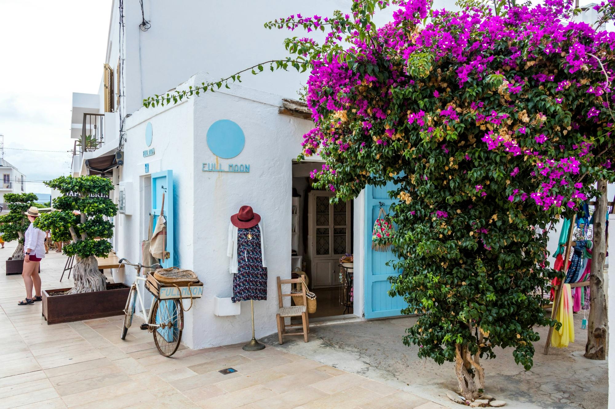 Full-day private guided tour of Formentera