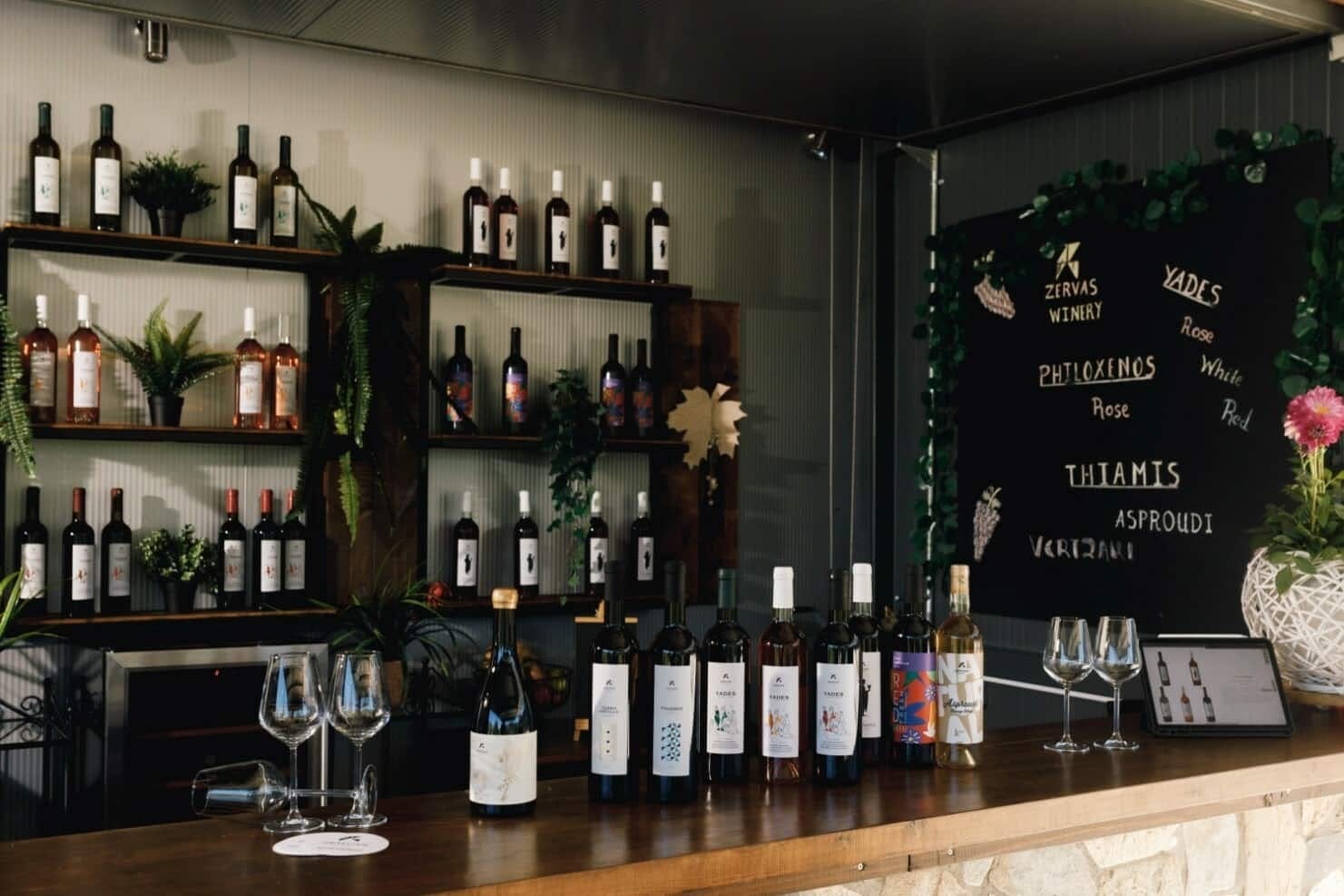 Epirus Wine Tasting  & Cooking Experience