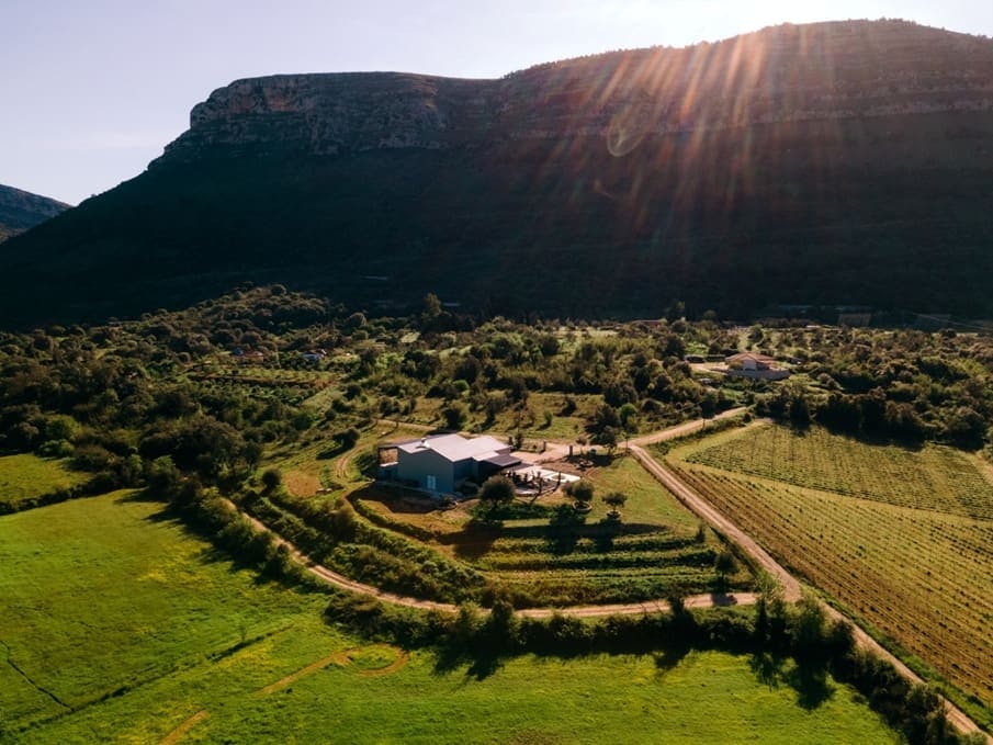 Epirus Wine Tasting  & Cooking Experience