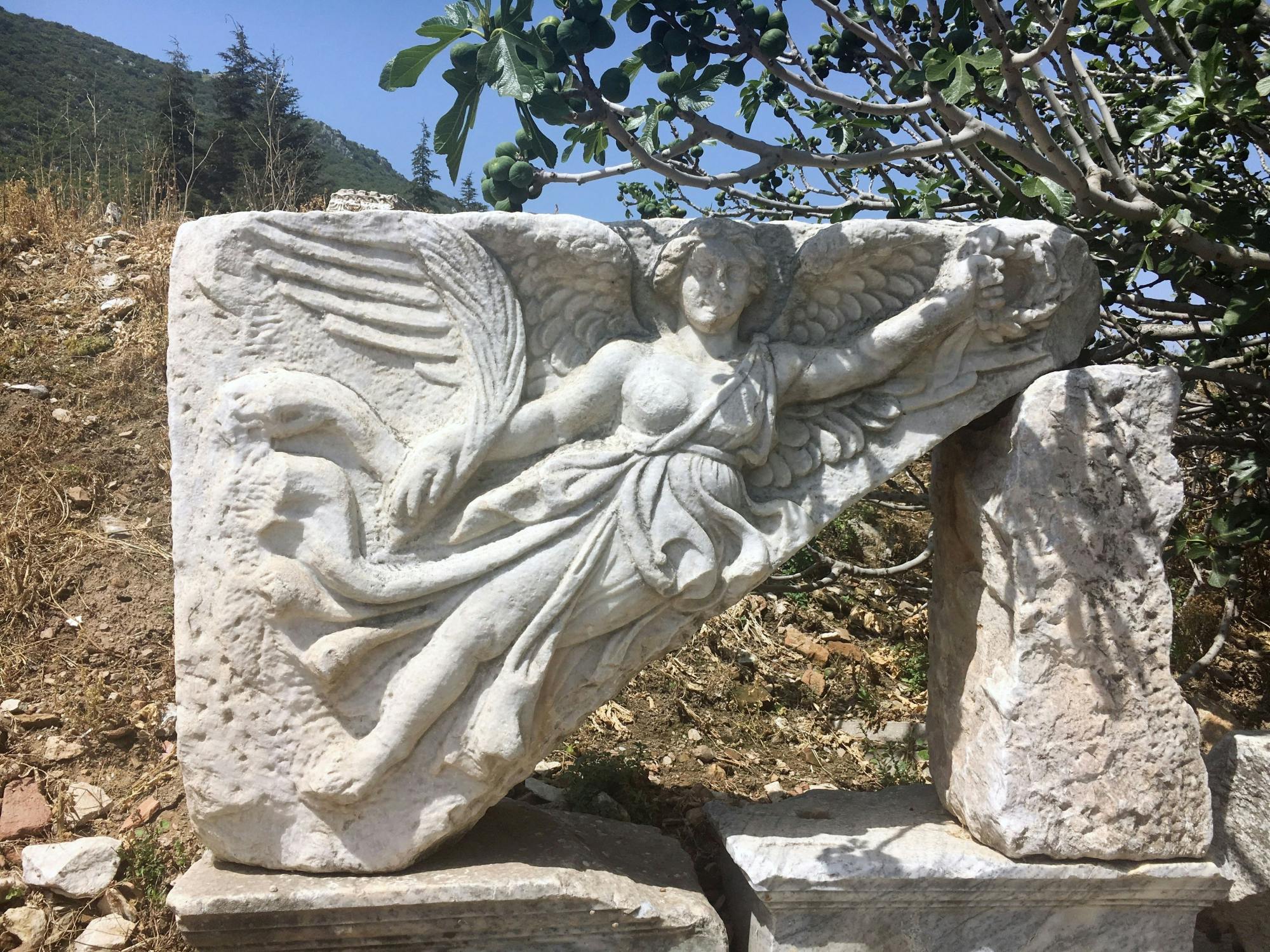Half-day guided tour of Ephesus in Turkey