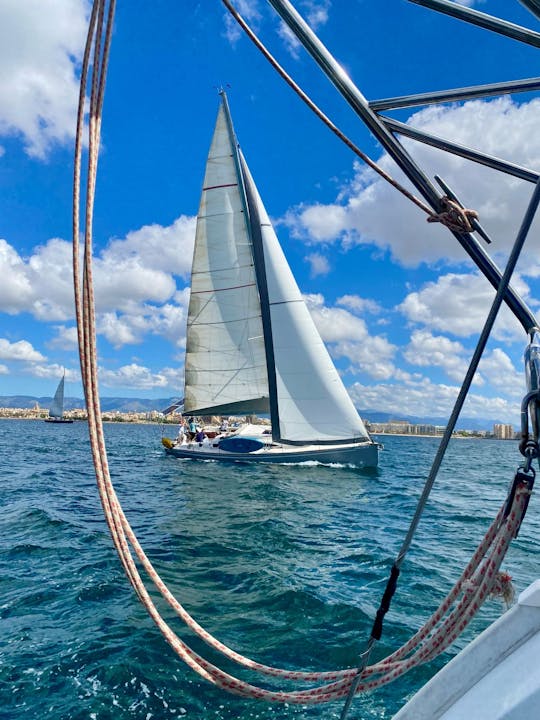 Private half day sailing boat