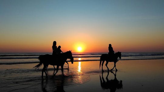 Passeio guiado a cavalo de 2 horas pela praia em Djerba