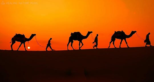 Southern Tunisia full-day guided tour with dinner in the desert
