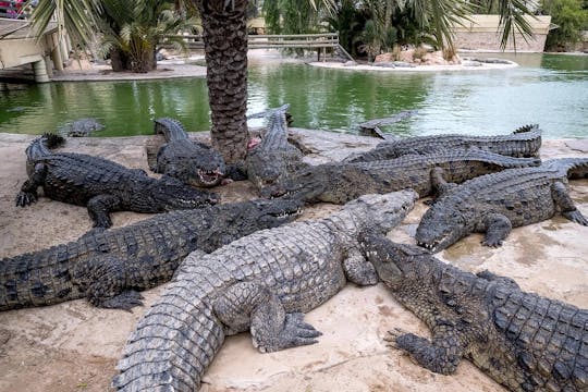 Billets pour le parc Djerba Explore avec prise en charge