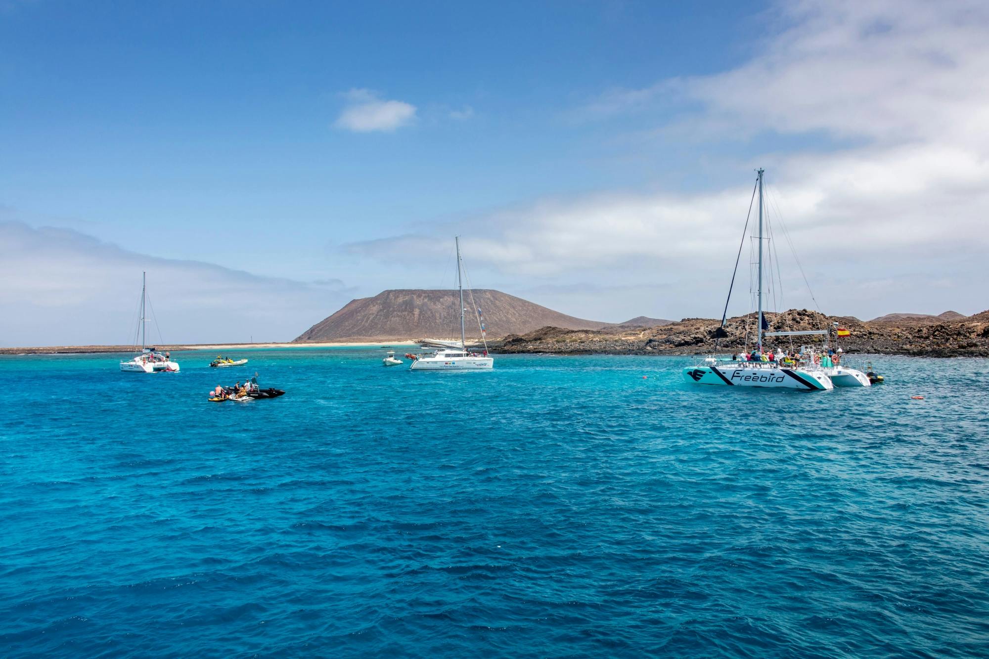 Adults only half-day Tenerife Freebird whale and dolphin catamaran