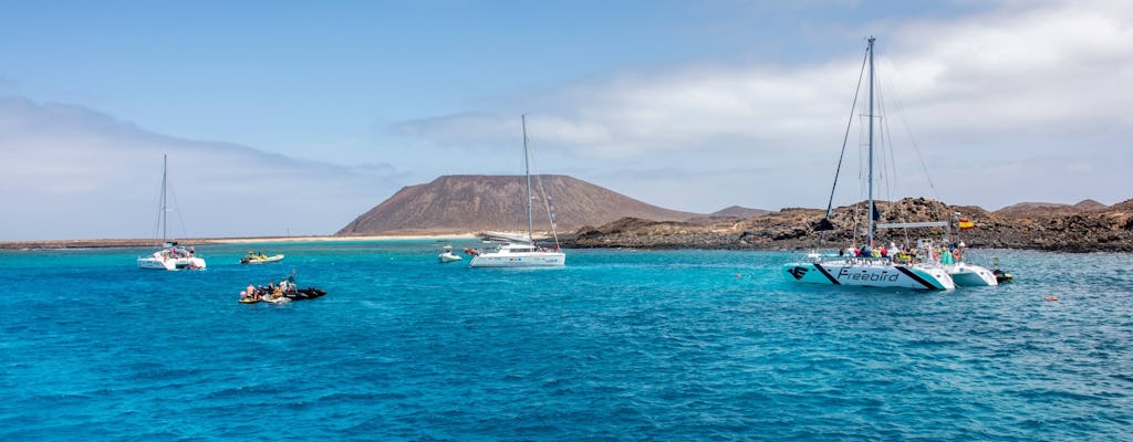 Teneriffa Freebird Wal- und Delfin-Katamaran nur für Erwachsene