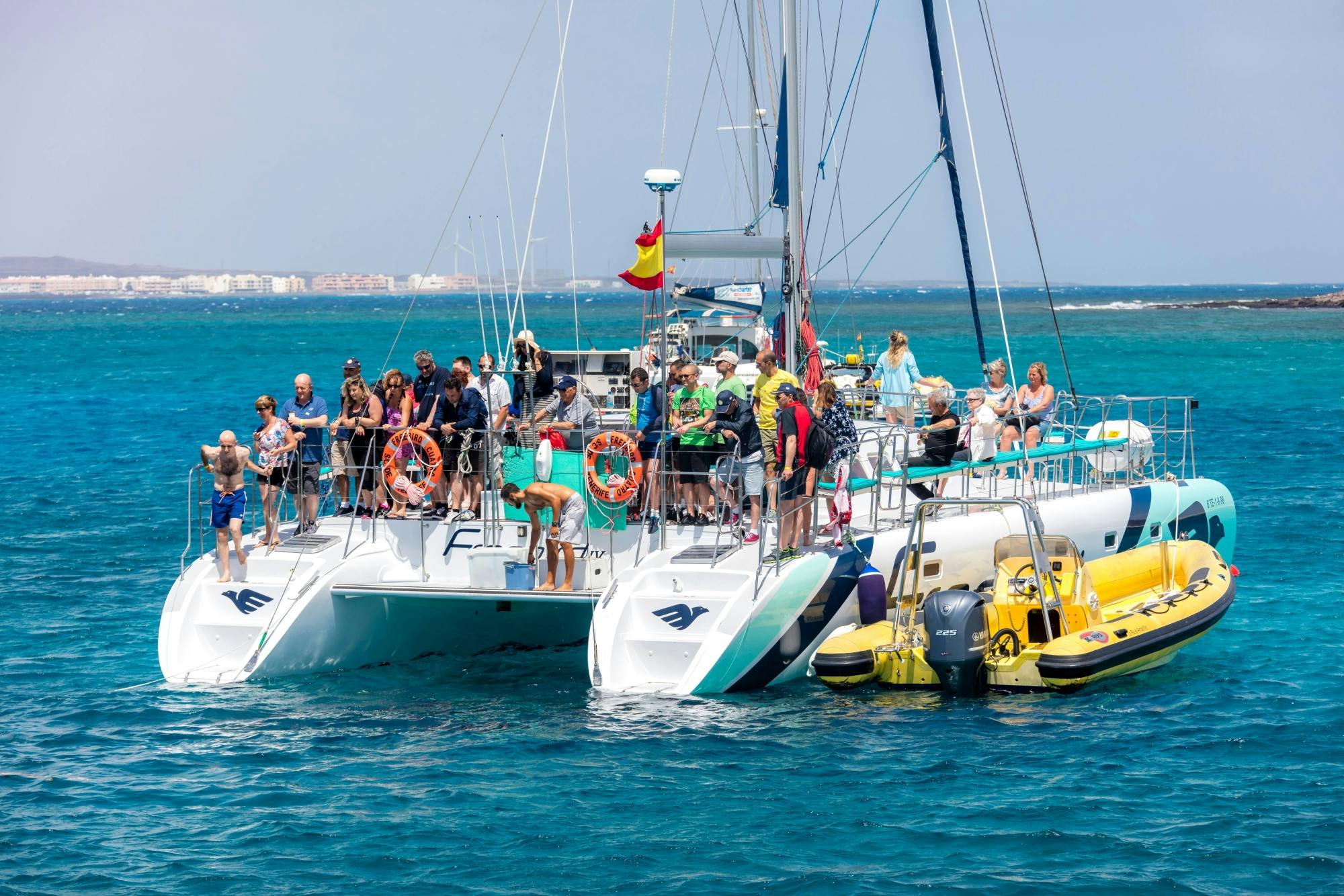 Adults only half-day Tenerife Freebird whale & dolphin catamaran