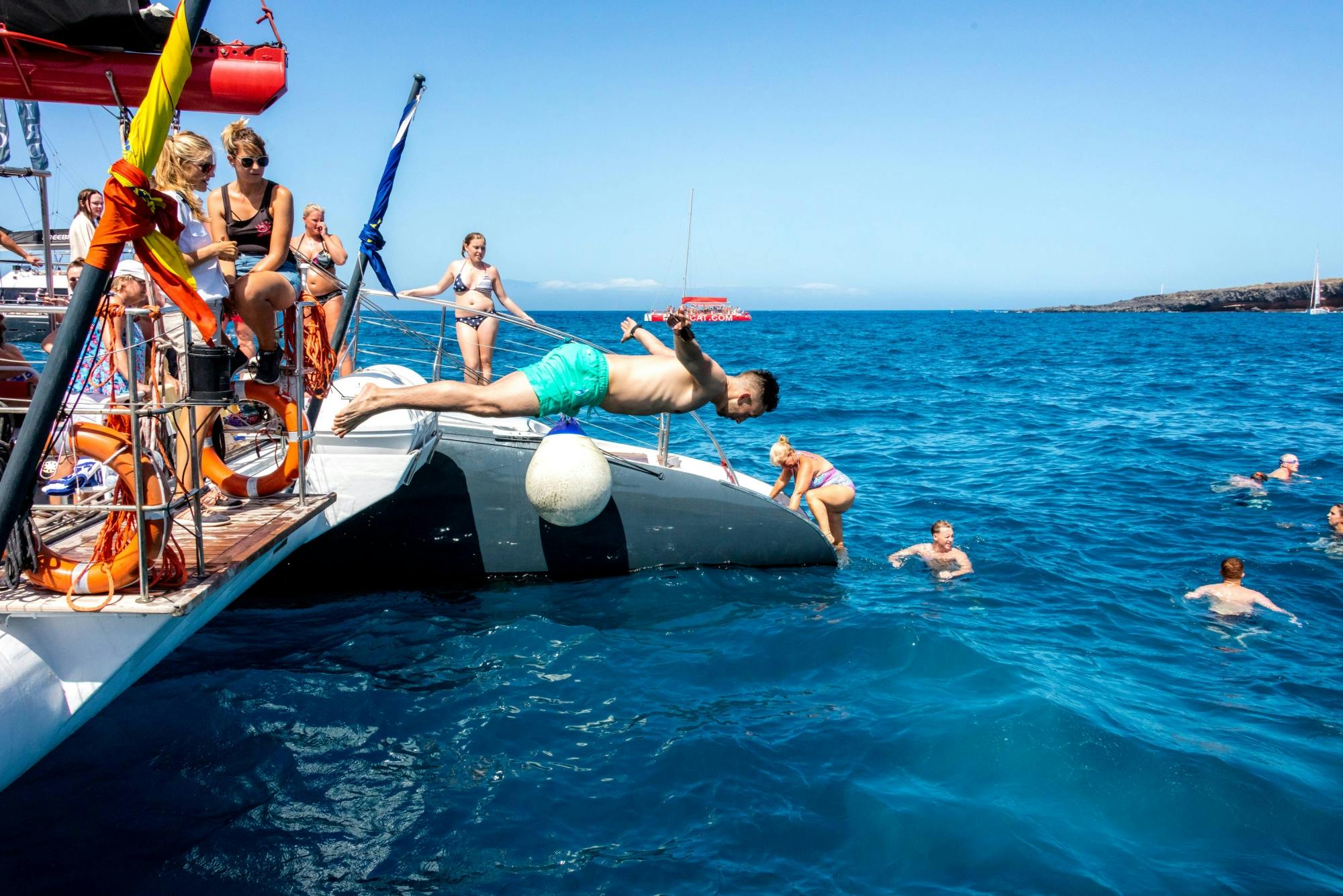 Adults only half-day Tenerife Freebird whale & dolphin catamaran