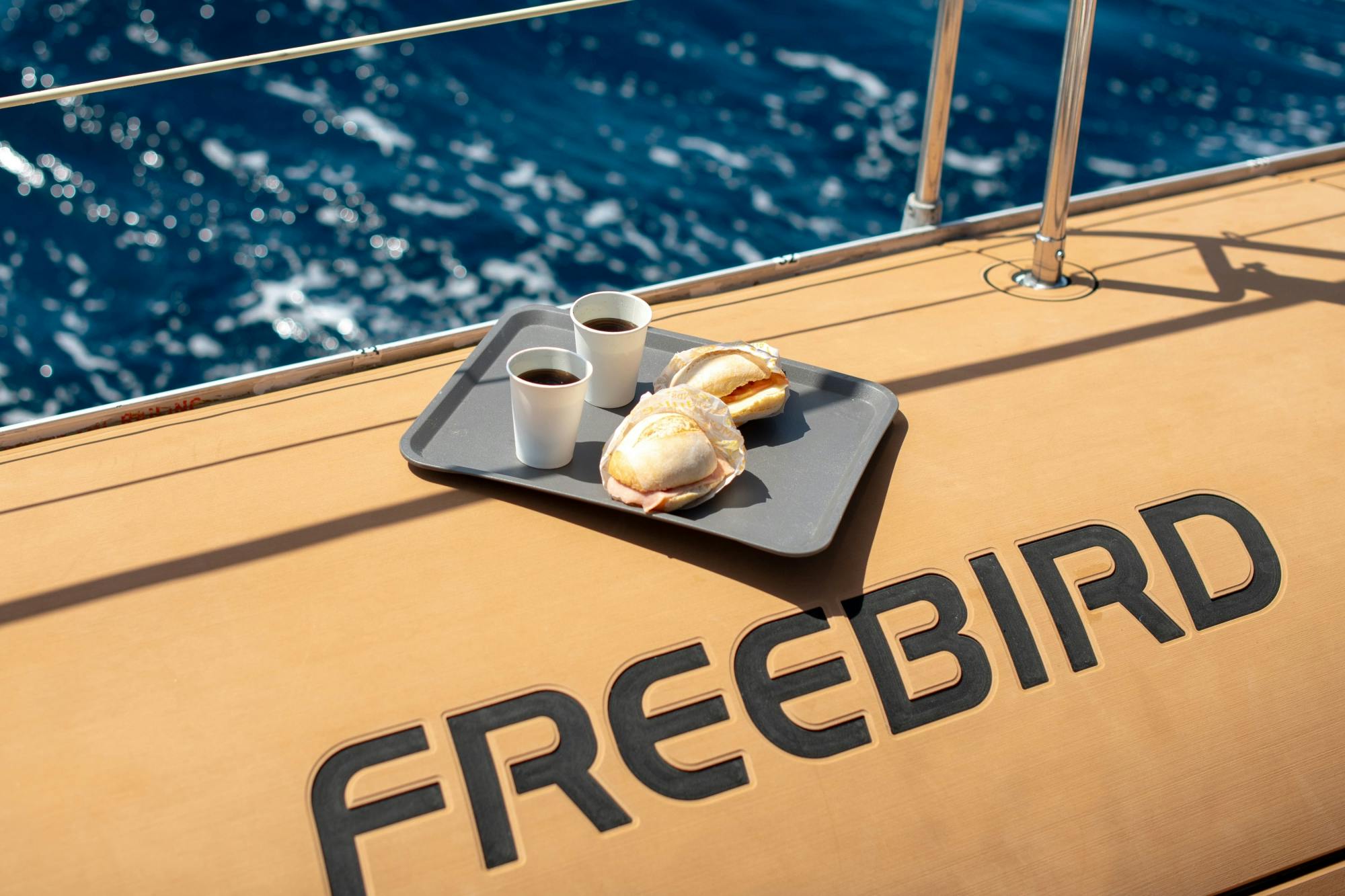 Adults only half-day Tenerife Freebird whale & dolphin catamaran