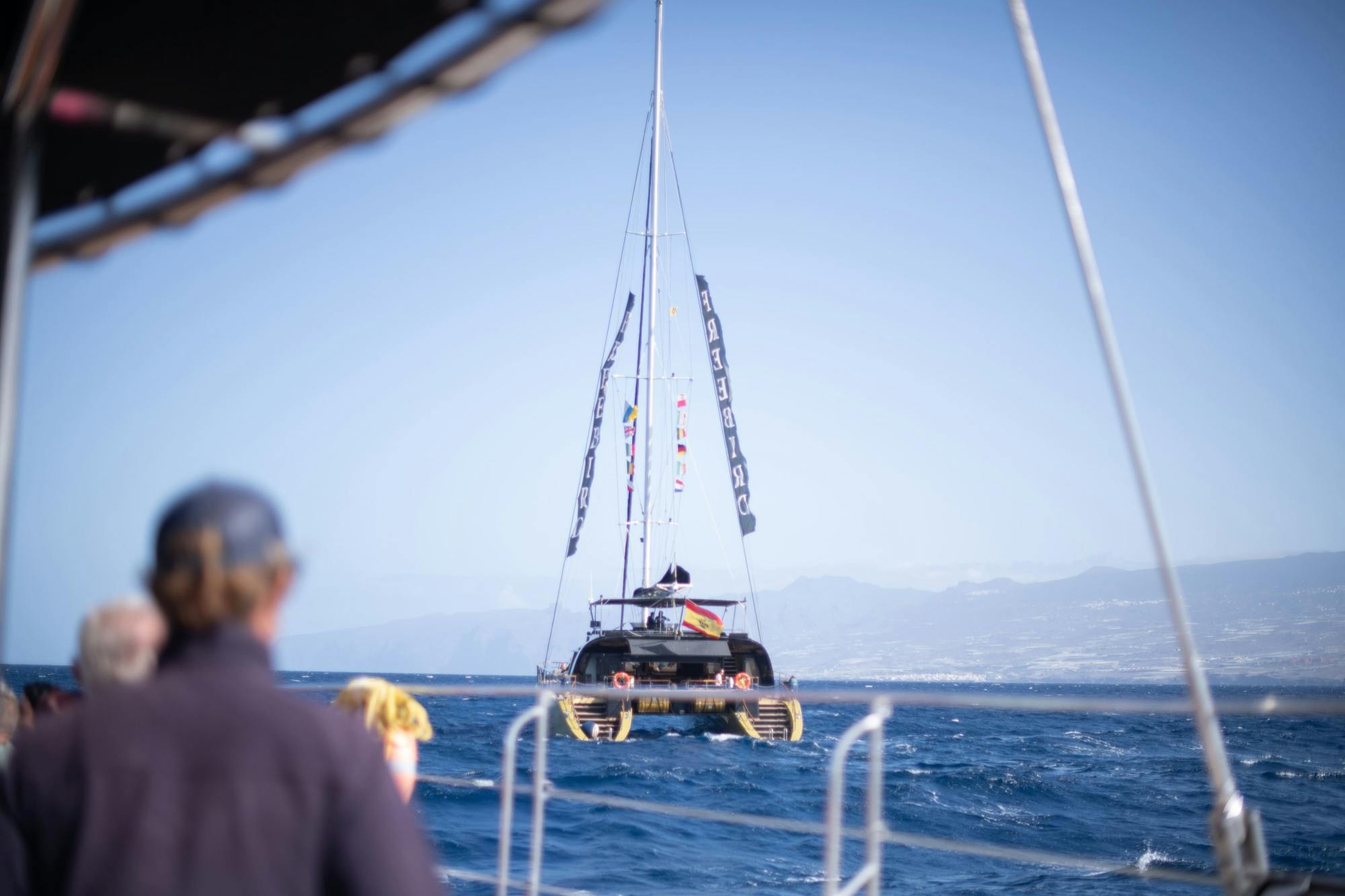 Adults only half-day Tenerife Freebird whale & dolphin catamaran