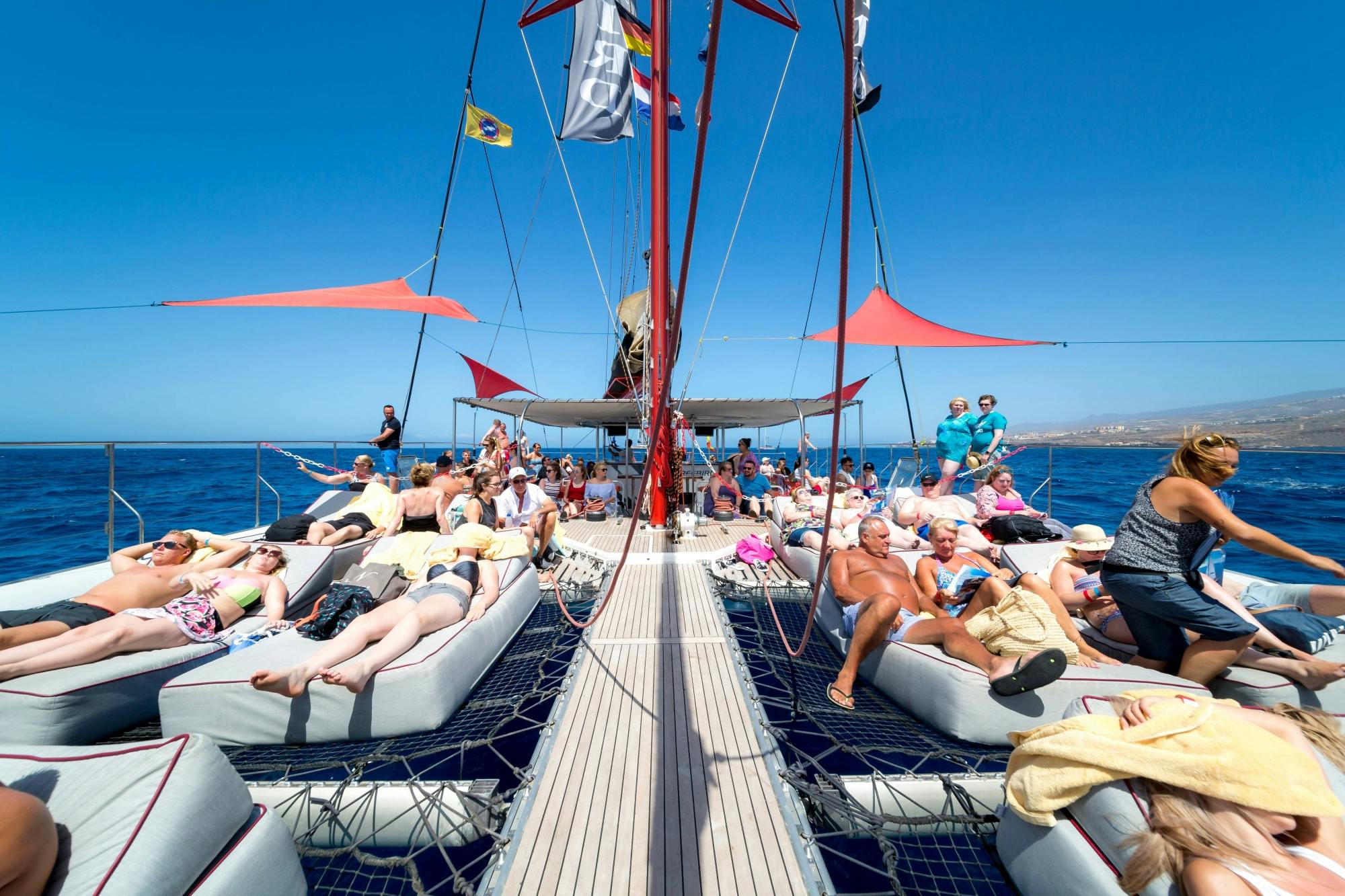 Adults only half-day Tenerife Freebird whale & dolphin catamaran