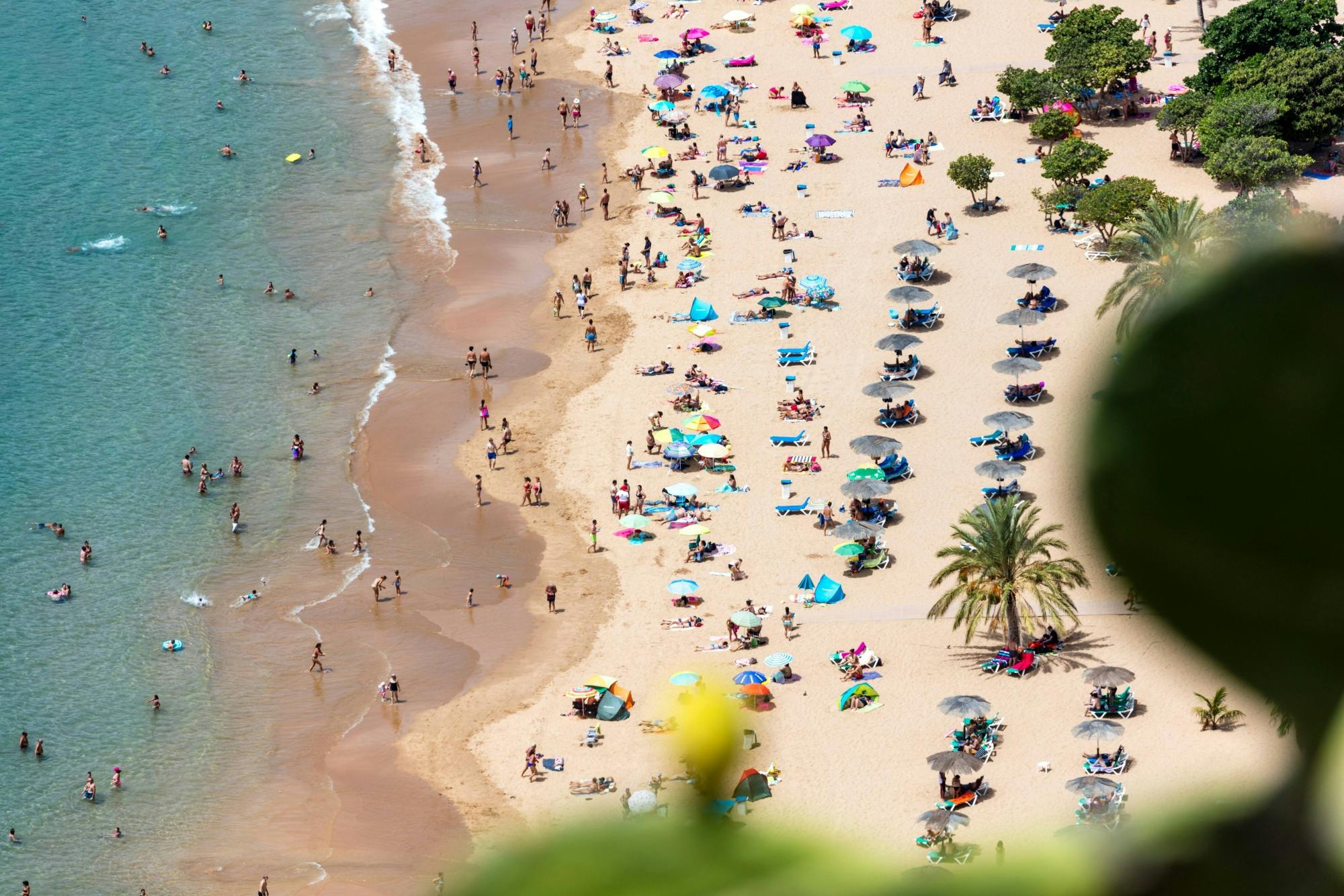 Tenerife tour with Anaga mountains and La Laguna