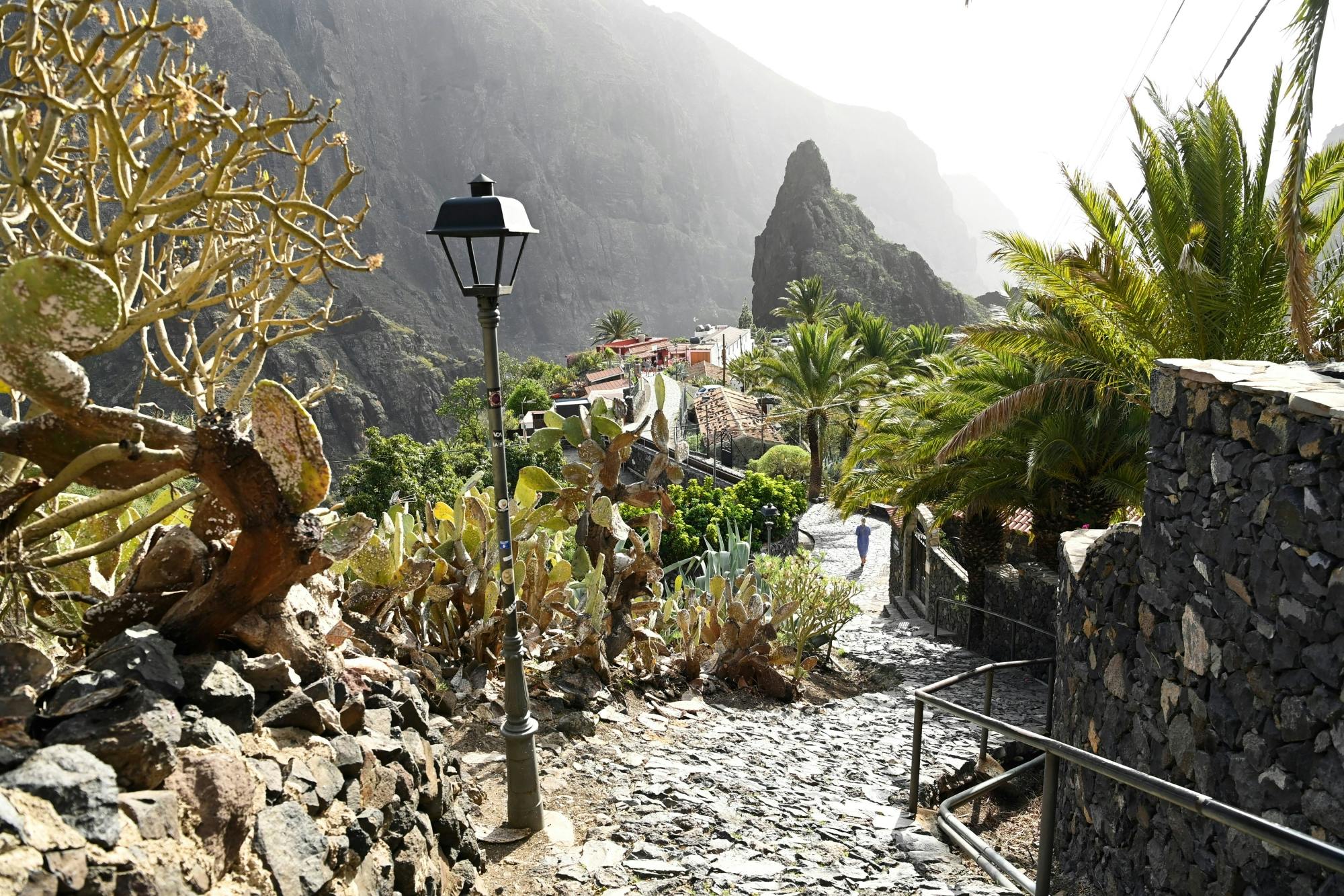 Teide Masca Private Tour