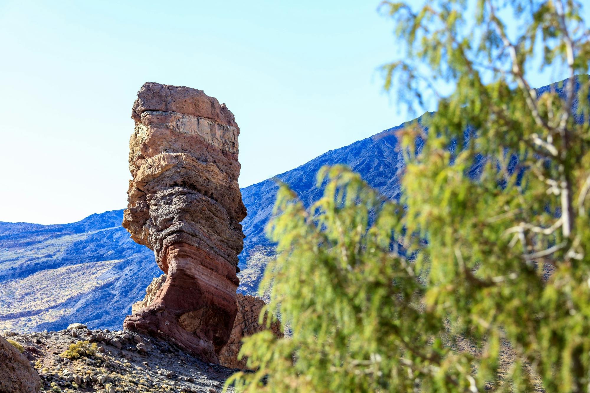 Teide National Park Tour with Expert Local Guide
