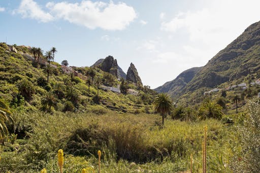 La Gomera Tour from Tenerife with Lunch