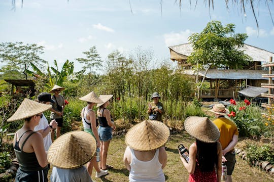 Tour pratico della fattoria rigenerativa di Bali con pranzo e meditazione