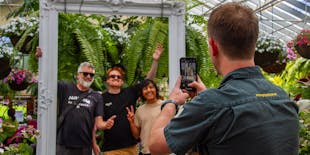 Half-day discovery tour of Melbourne City