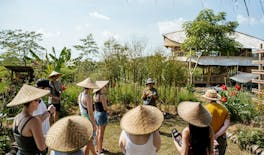 Passeio prático em uma fazenda regenerativa em Bali com almoço e meditação