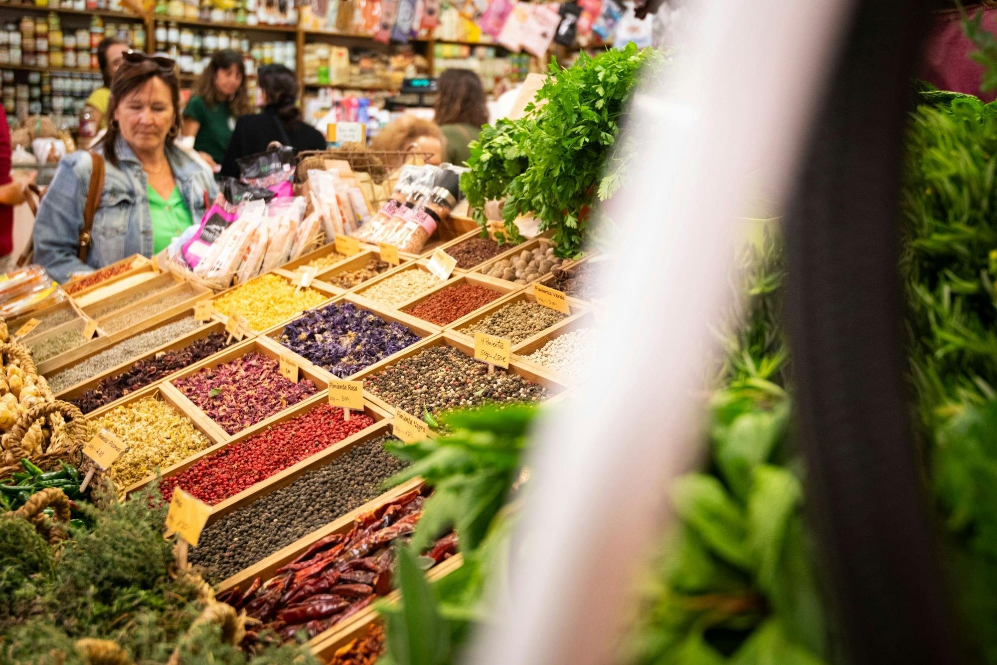 Guided Tour of La Laguna, Canarian Lunch and Wine Tasting