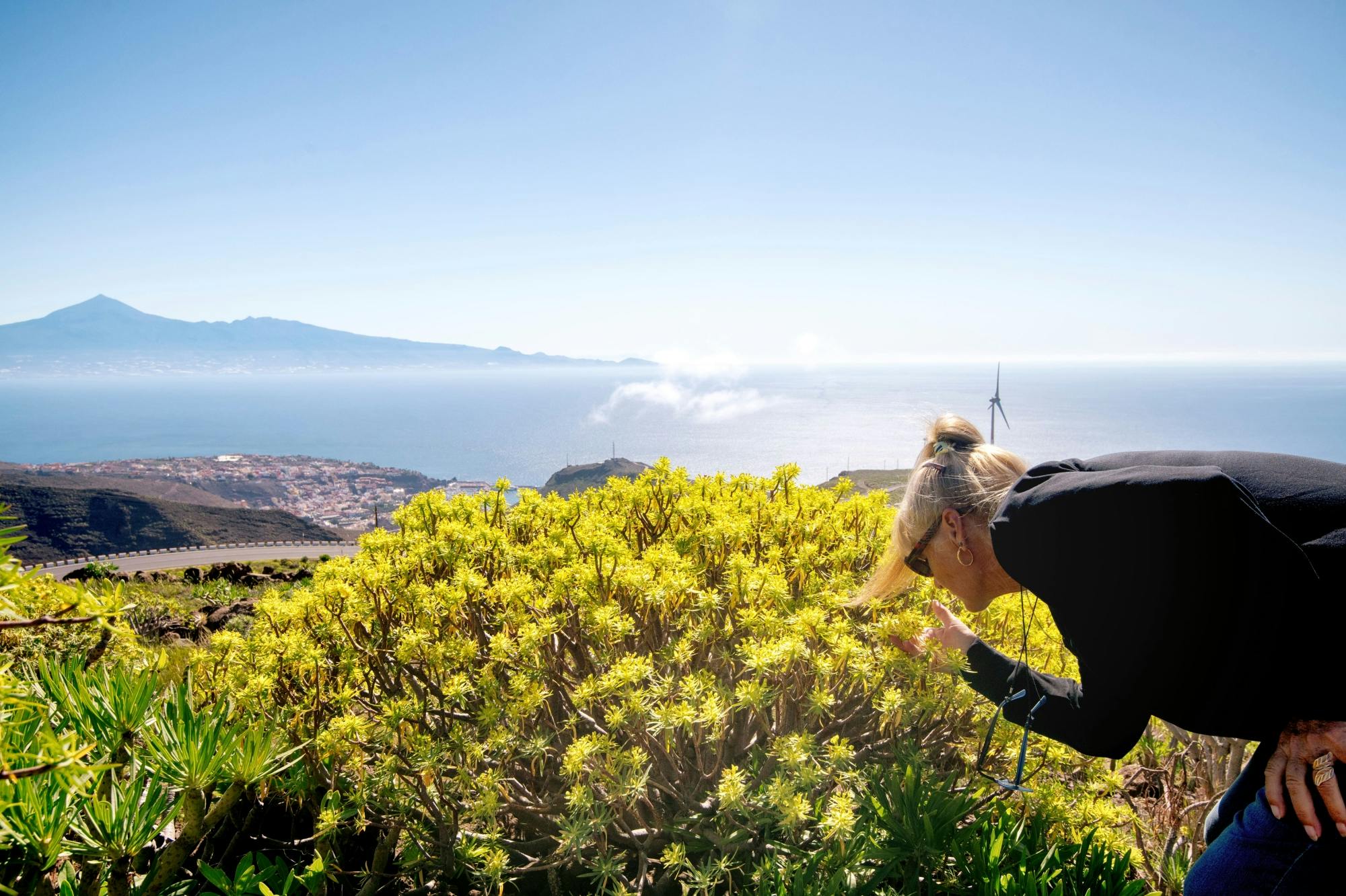 La Gomera Tour from Tenerife with Lunch