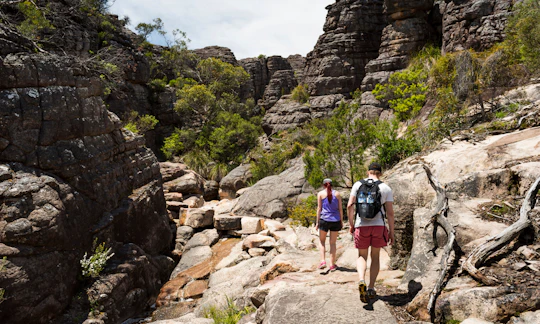 Grampians National Park Small-Group Full-Day Tour