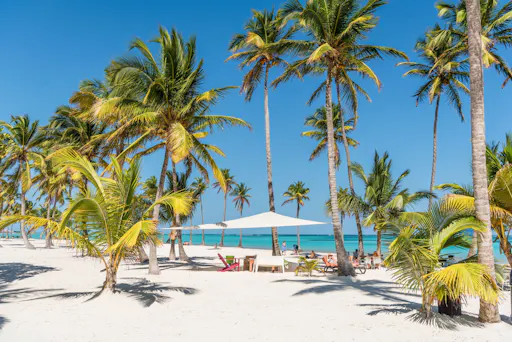 Full-day catamaran cruise with snorkelling and a beachside lunch