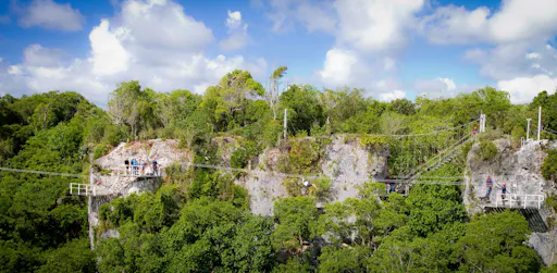 Full-day catamaran cruise with snorkelling and a beachside lunch