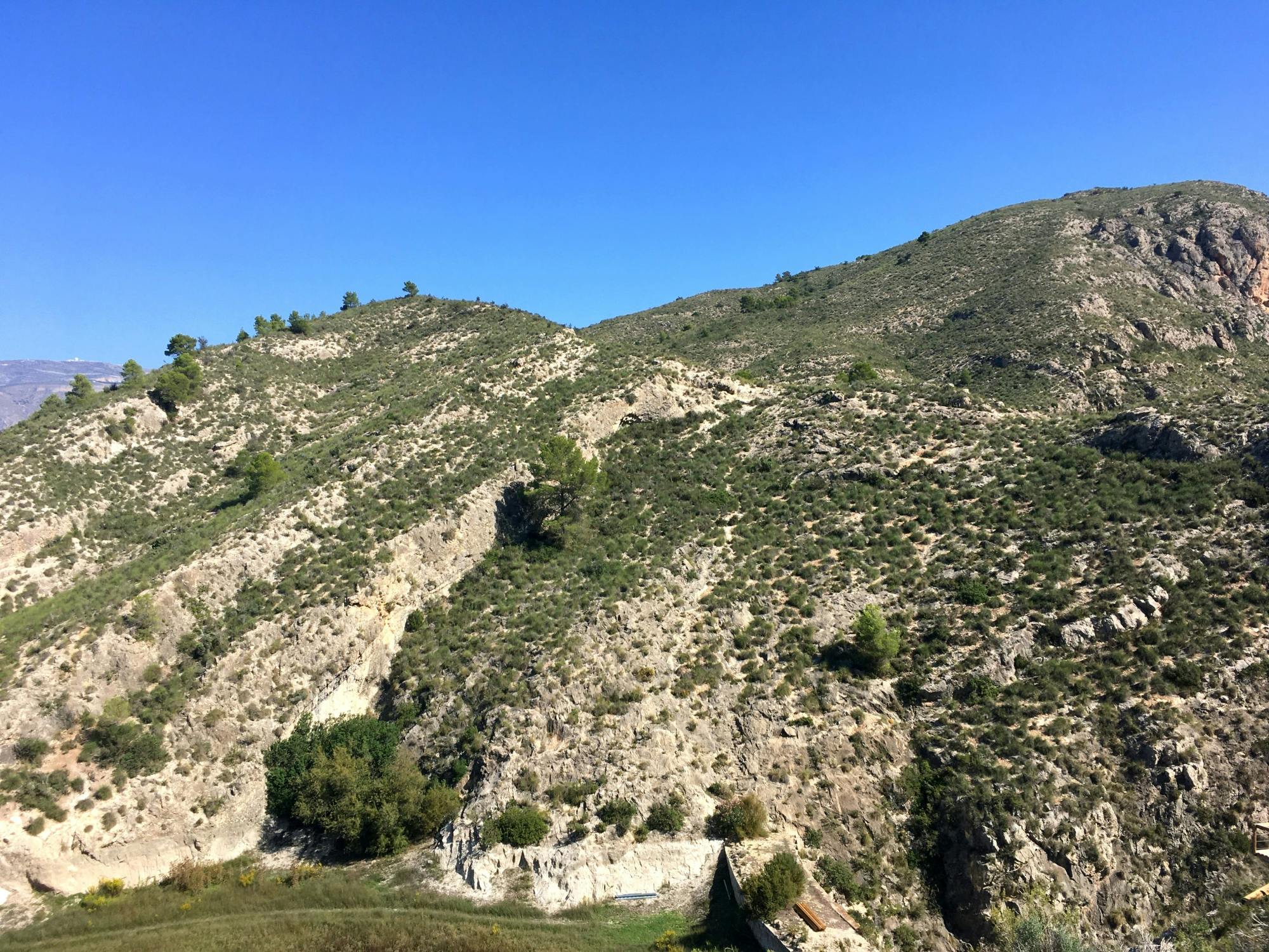 Half-day guided tour to Relleu with hike and museum visit