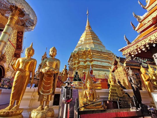 Tour privato di mezza giornata a Wat Pha Lat e Wat Phra That Doi Suthep