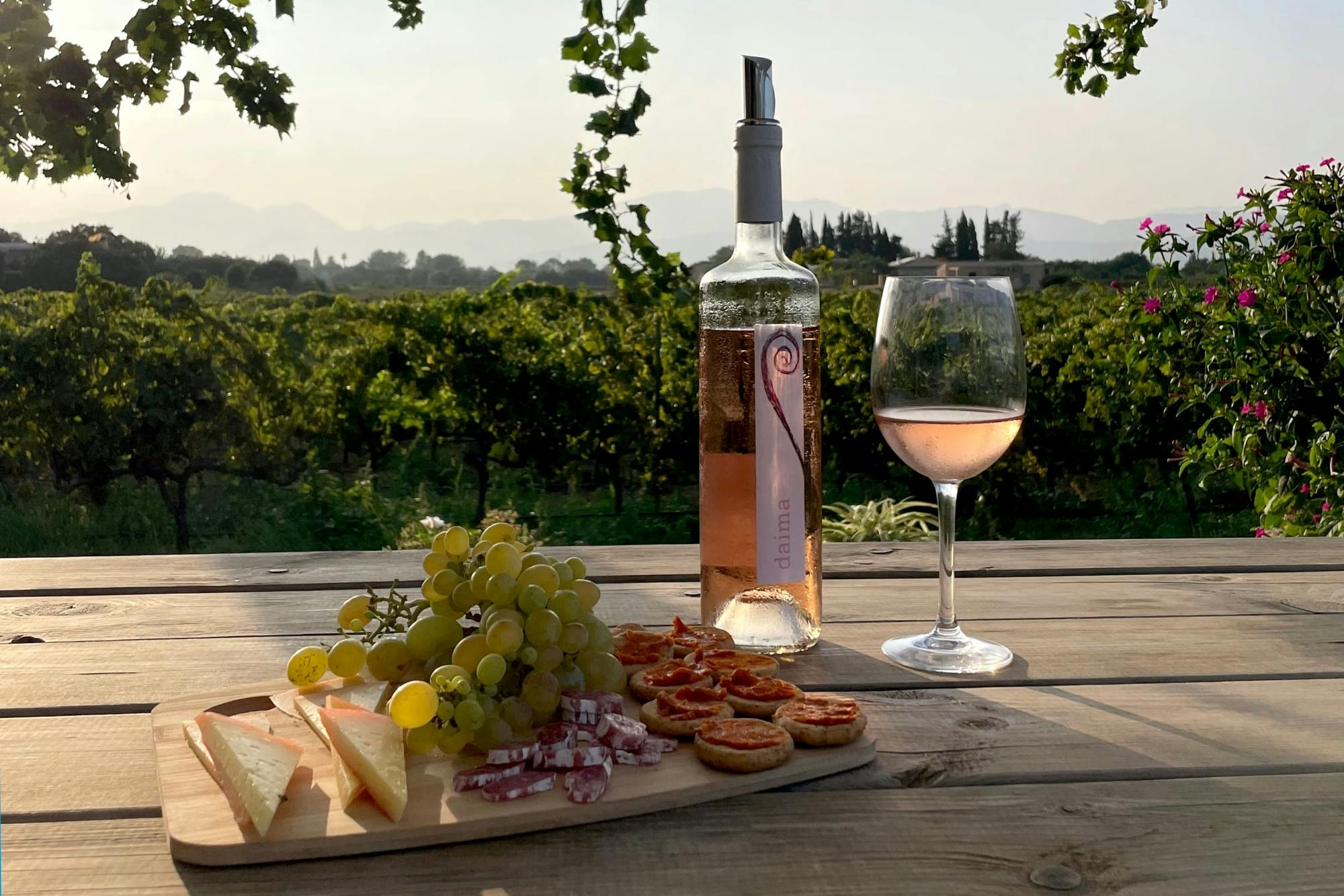 Alcudia and Bodega Butxet tasting tour