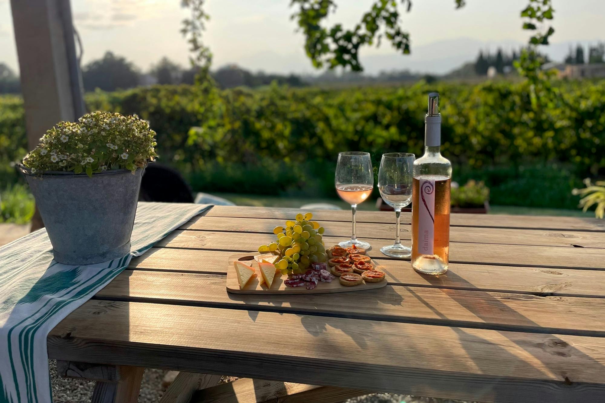 Alcudia and Bodega Butxet tasting tour