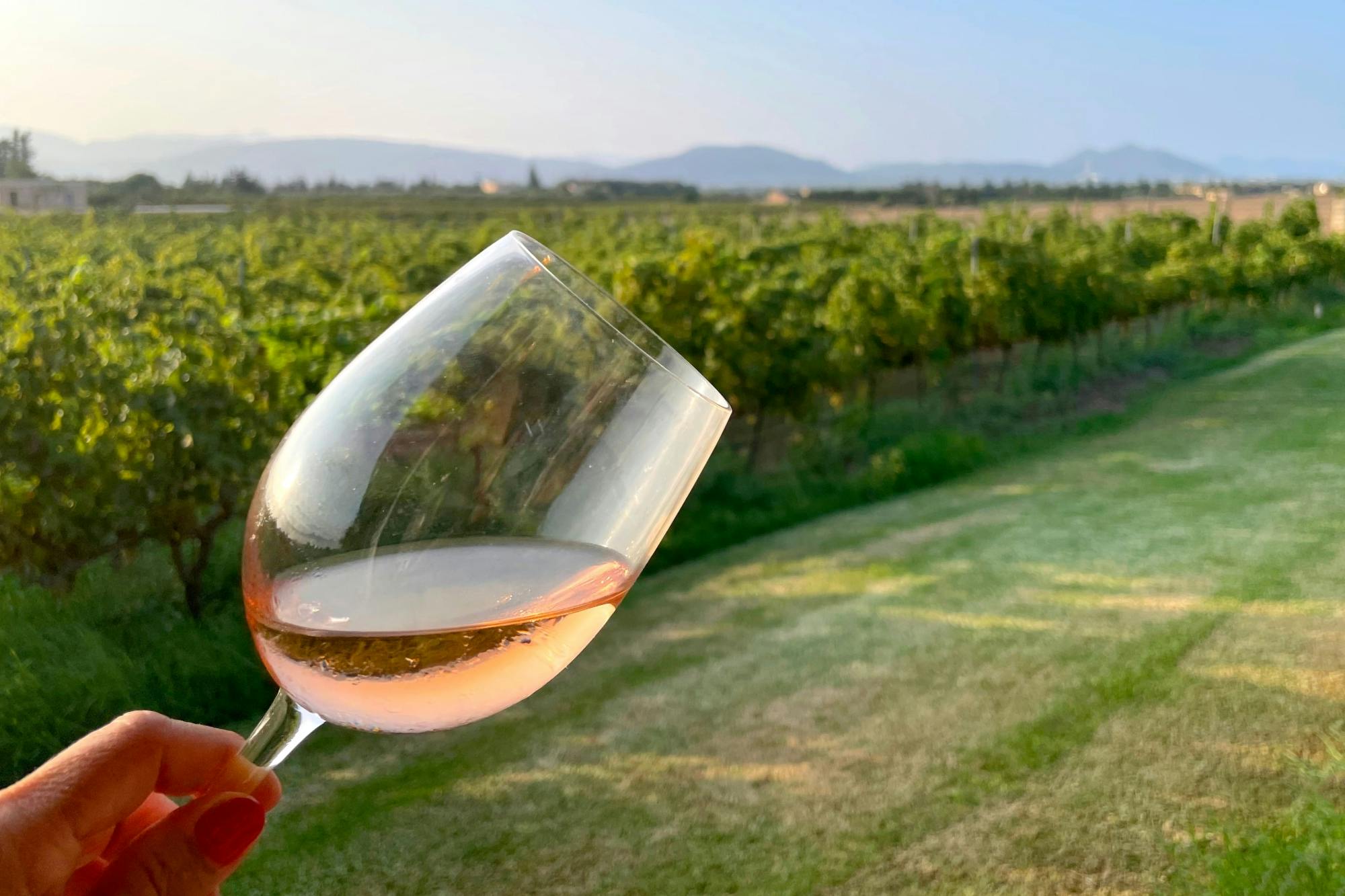 Alcudia and Bodega Butxet tasting tour