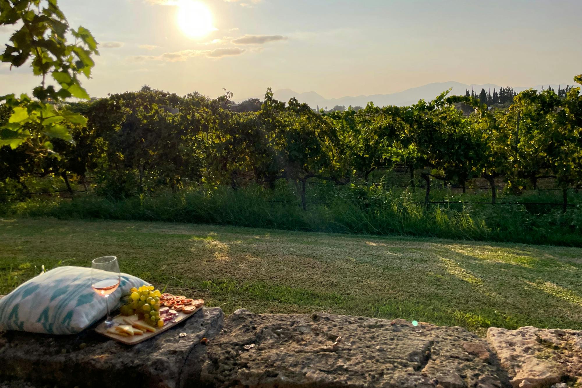 Alcudia and Bodega Butxet tasting tour