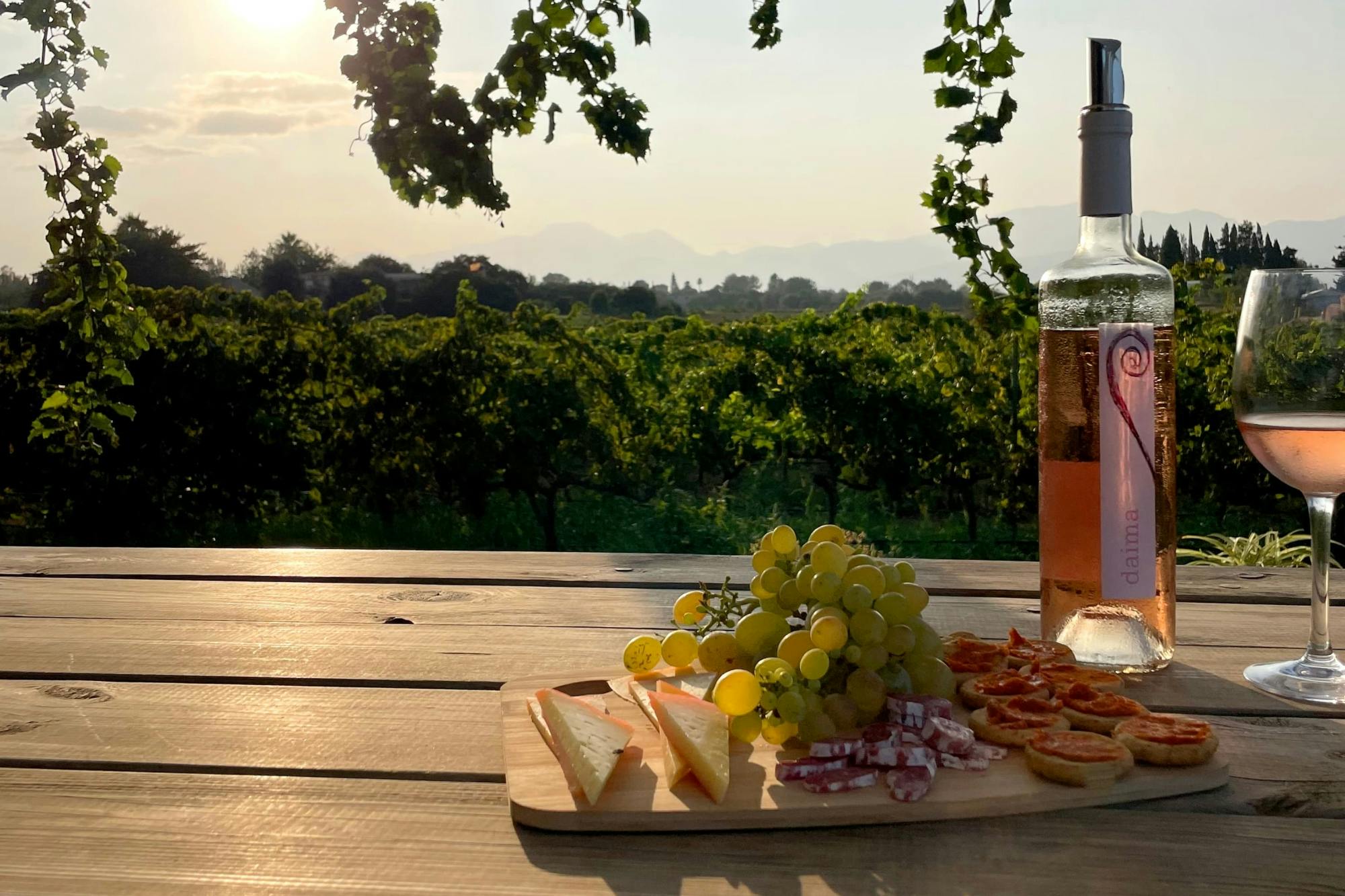 Alcudia and Bodega Butxet tasting tour