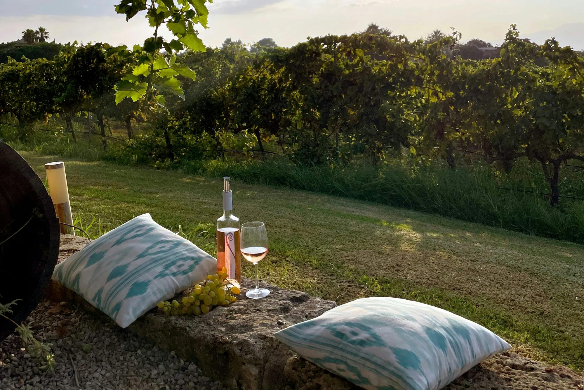 Alcudia and Bodega Butxet tasting tour