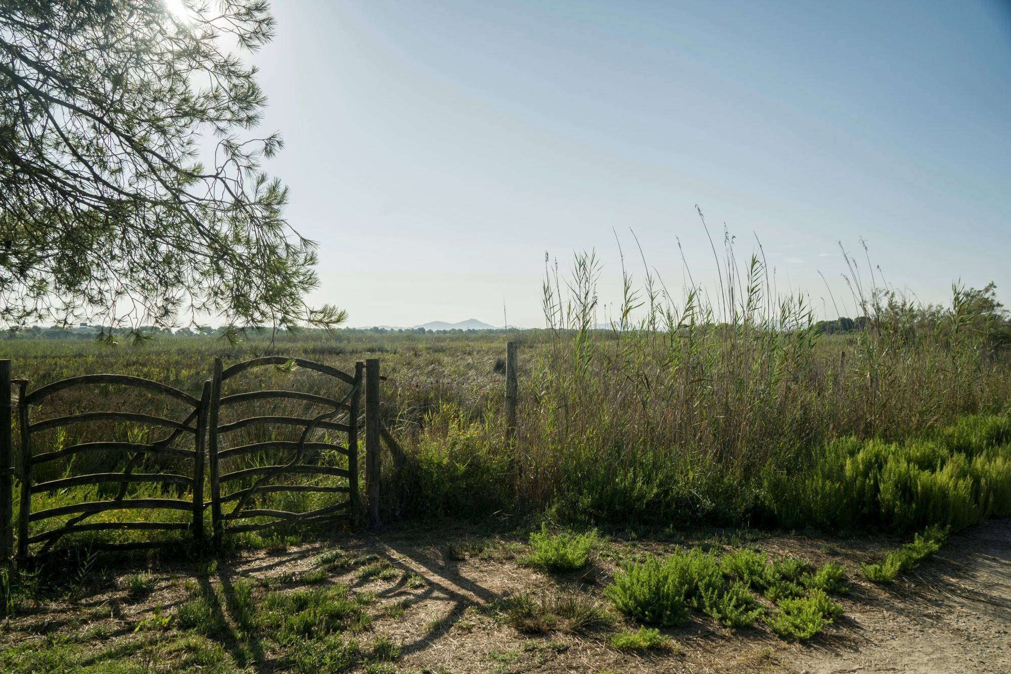 Alcudia and Bodega Butxet tasting tour