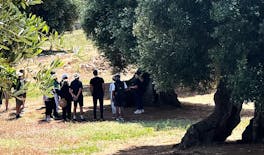 Degustazione di olio d'oliva presso un frantoio a conduzione familiare a Ostuni
