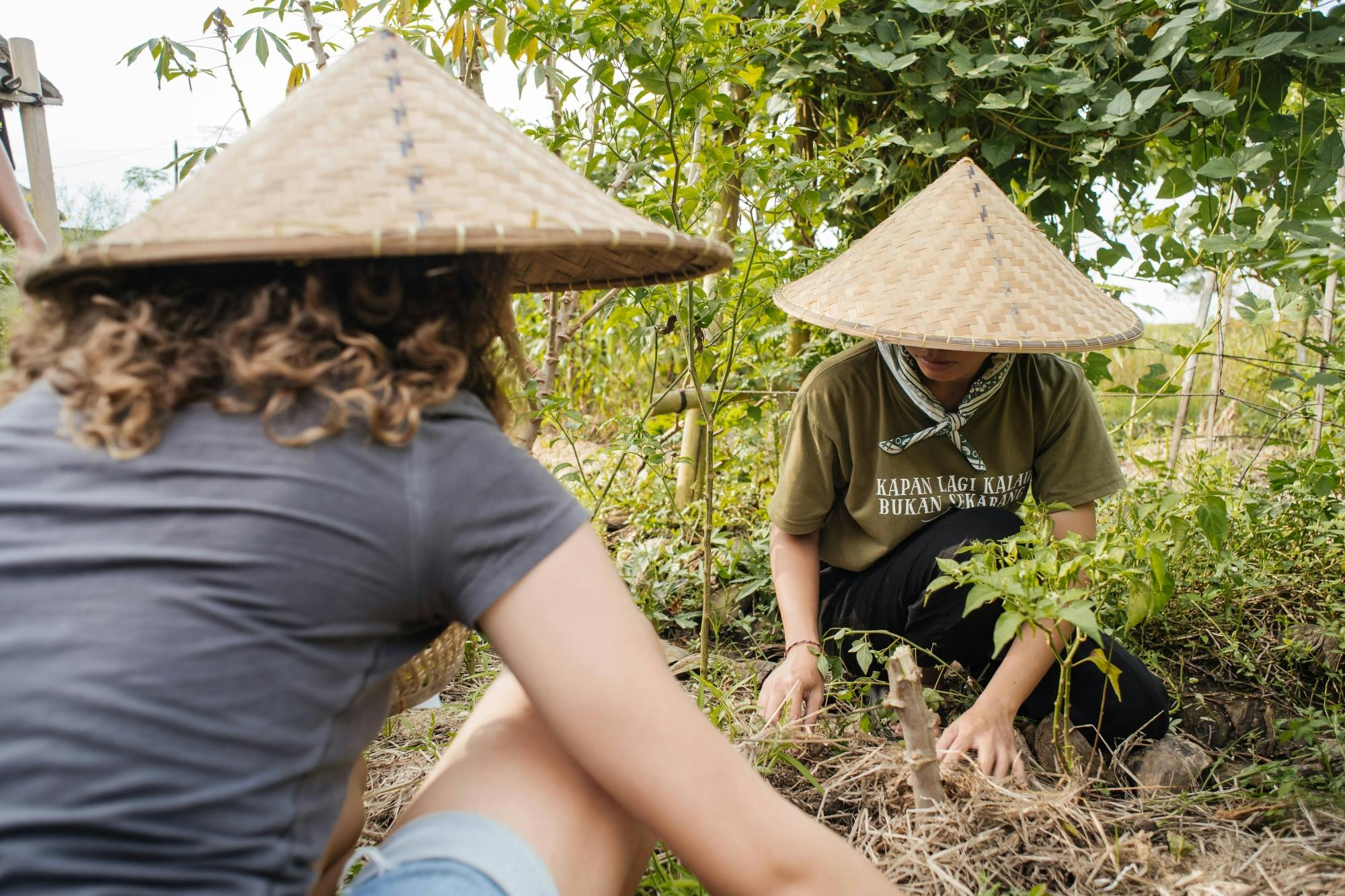 Future for food guided evening tour with cooking class in Bali