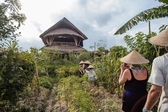 Futuro per il cibo: visita guidata serale con lezione di cucina a Bali