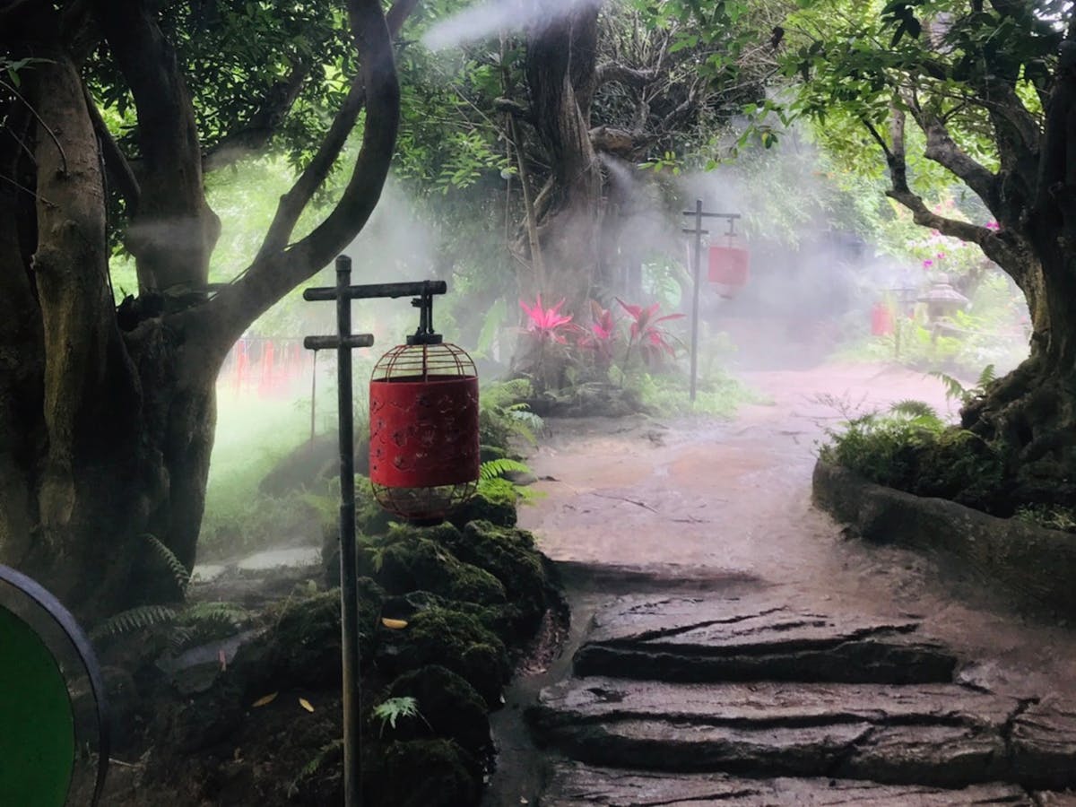 Chiang Mai privébusje tour met Wat Ban Den, Dantewada en Sticky Waterval