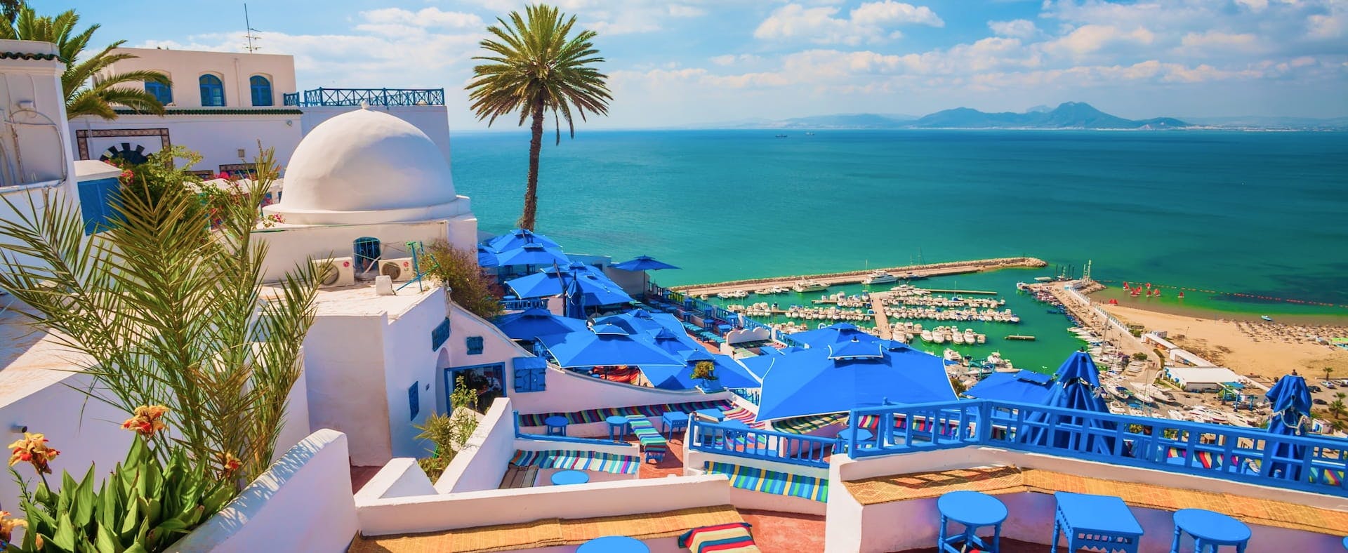 Private guided tour to Tunis, Carthage and Sidi Bou Said