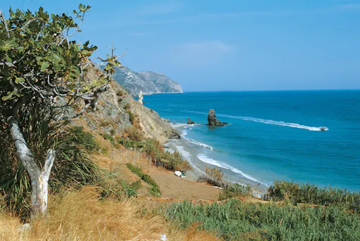 Guided tour of Axarquia, Frigiliana and Nerja