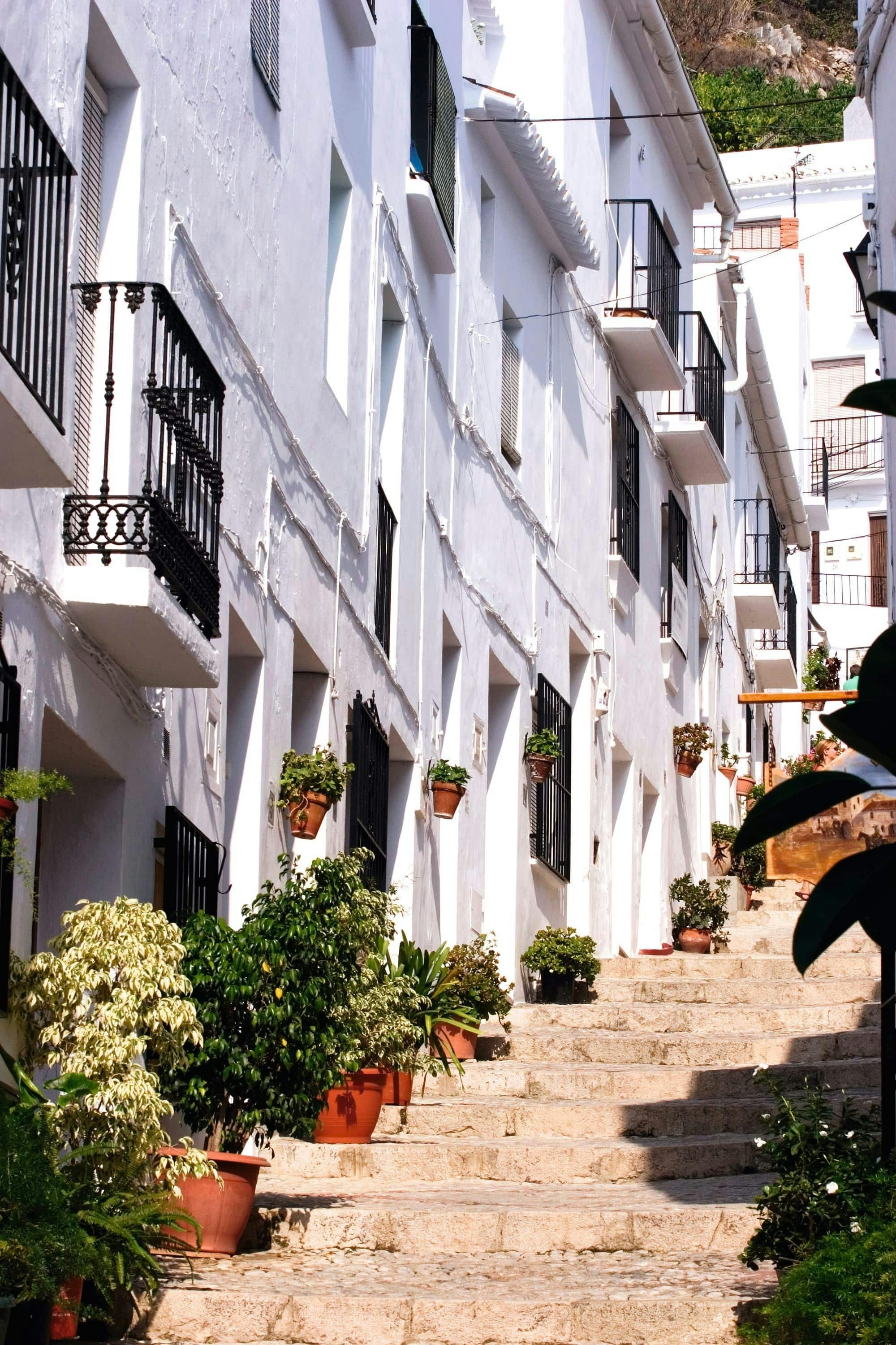 Guided tour of Axarquia, Frigiliana and Nerja