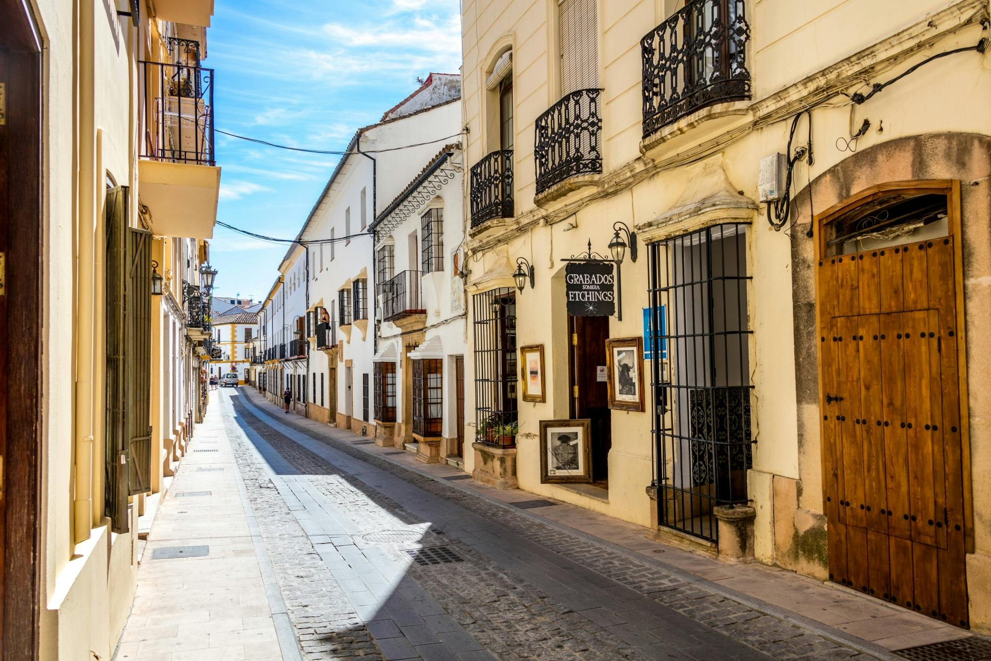 Full-day guided tour of Ronda with Reservatauro Ranch visit