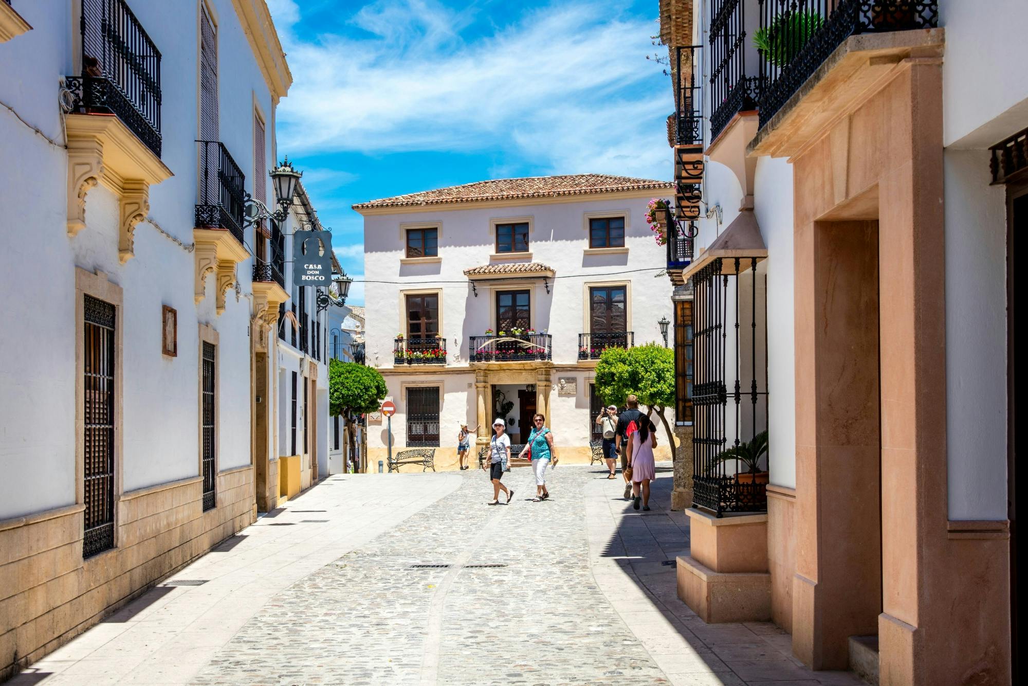 Full-day guided tour of Ronda with Reservatauro Ranch visit