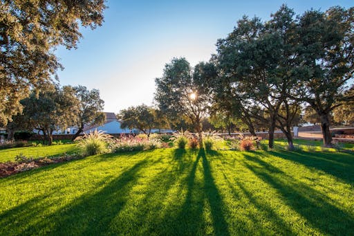 Full-day guided tour of Ronda with Reservatauro Ranch visit