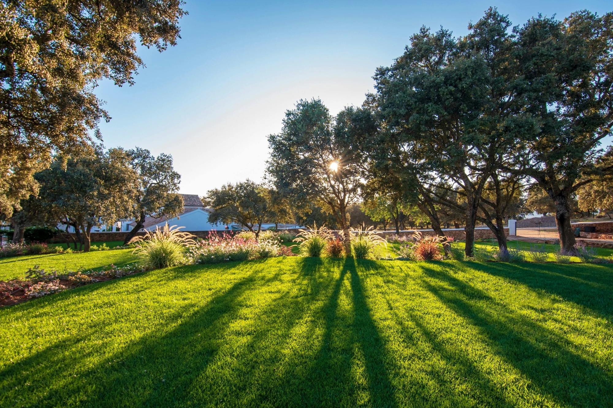 Full-day guided tour of Ronda with Reservatauro Ranch visit