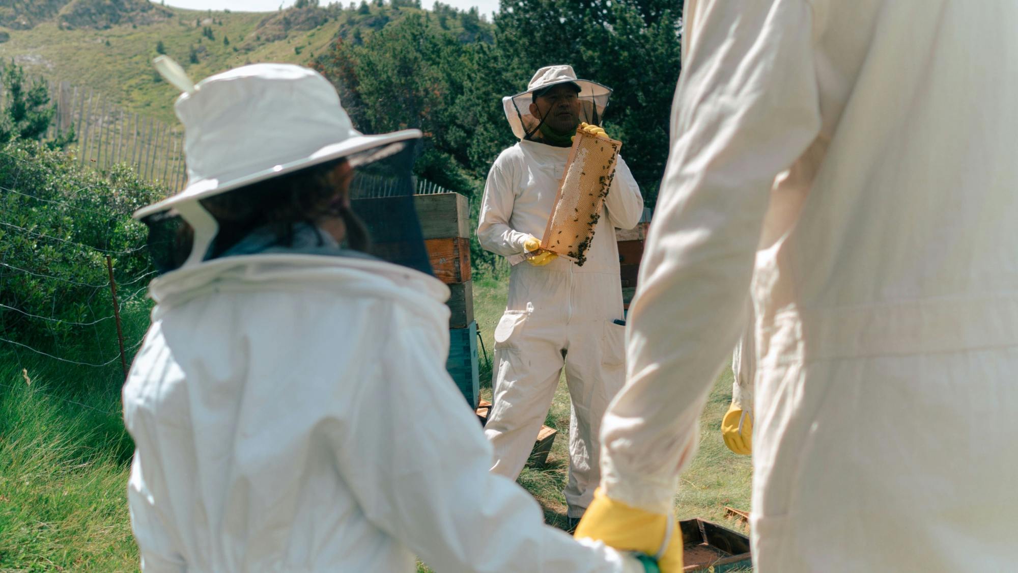 Guided beekeeping tour in Andorra