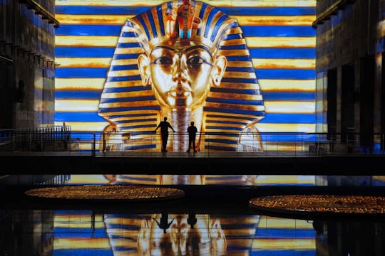 Boleto de entrada al Centro de Arte Les Bassins des Lumières en Burdeos